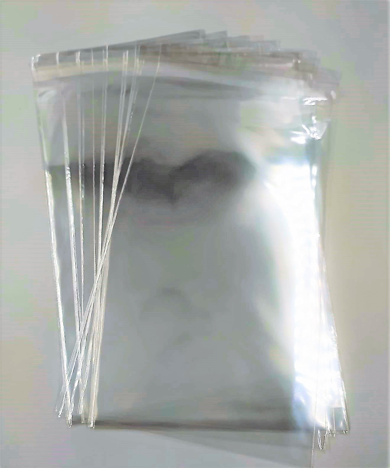 Bustine trasparenti con strip adesivo - cm 13,97*22,86 - (Inches 5,5*9) - confezione 1kg