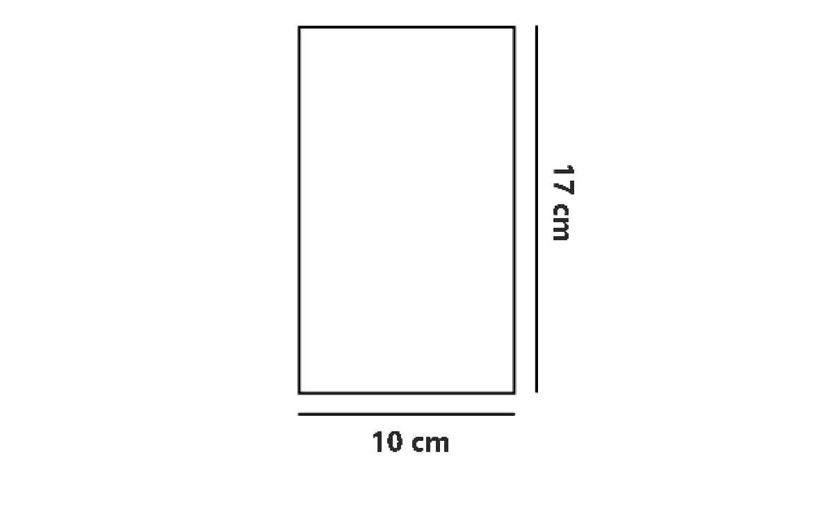 BUSTINE TRASPARENTI SOTTILI SENZA ADESIVO cm 10*17 IN CONFEZIONE DA 100PCS