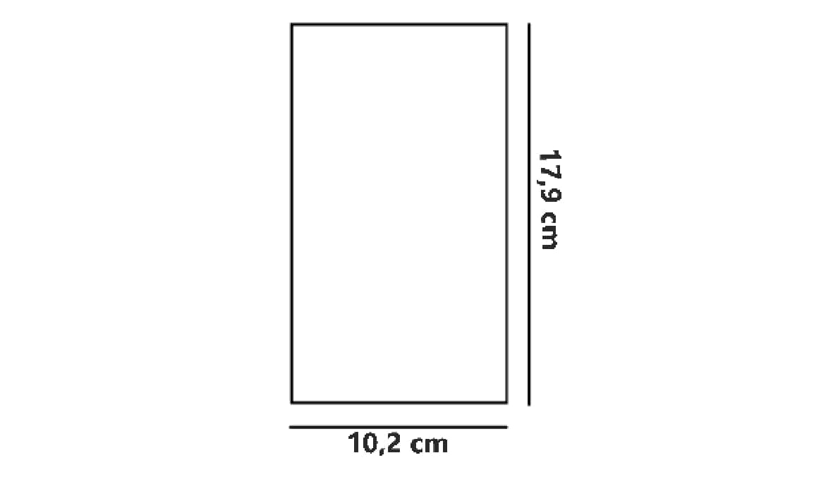 BUSTINE TRASPARENTI SOTTILI SENZA ADESIVO cm 10,2*17,9 IN CONFEZIONE DA 100PCS