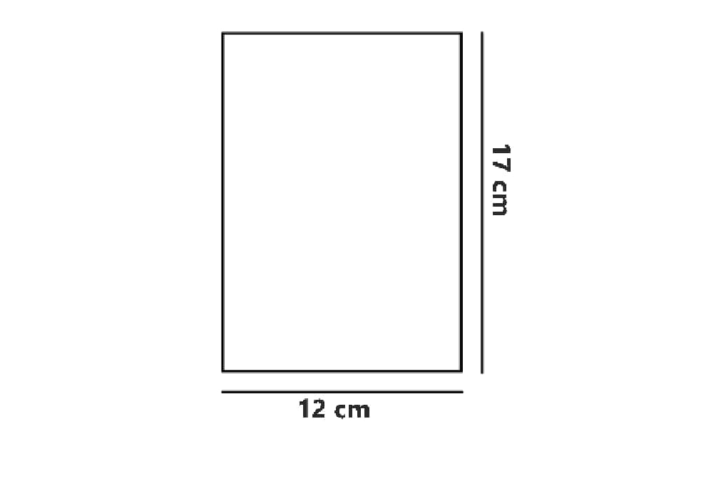 BUSTINE TRASPARENTI SOTTILI SENZA ADESIVO cm 12*17 IN CONFEZIONE DA 100PCS