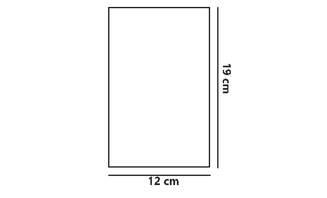 BUSTINE TRASPARENTI SOTTILI SENZA ADESIVO cm 12*19 IN CONFEZIONE DA 100PCS
