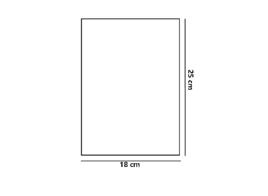 BUSTINE TRASPARENTI SOTTILI SENZA ADESIVO cm 18*25 IN CONFEZIONE DA 100PCS
